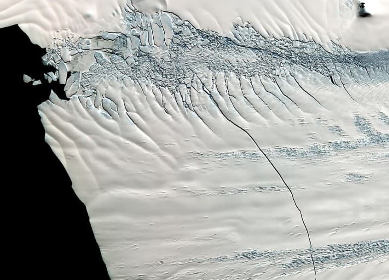 Pine island increase